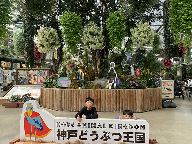 blog