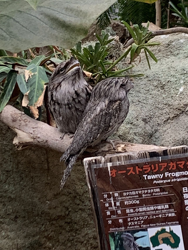 blog